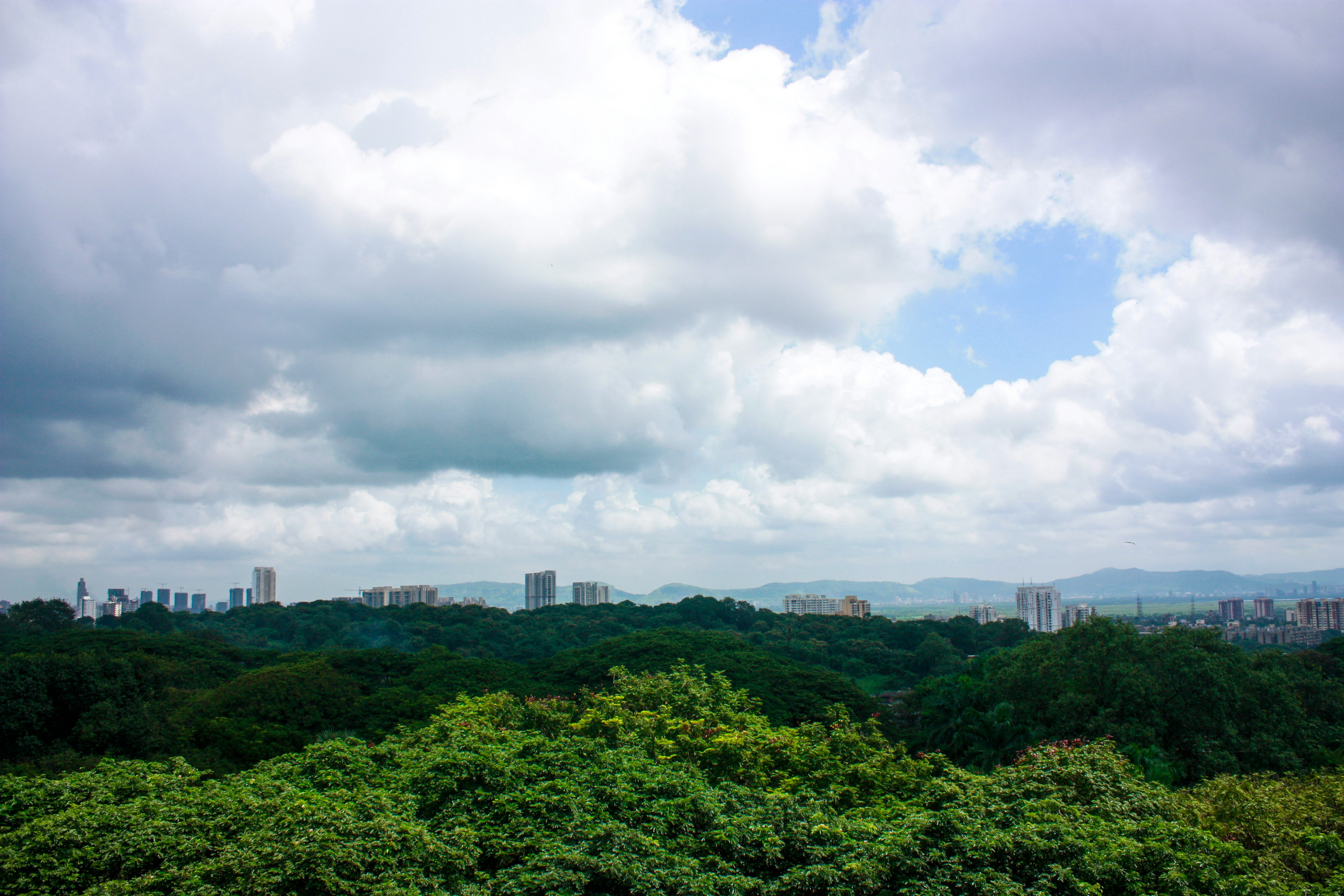 India Cityscape